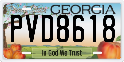 GA license plate PVD8618