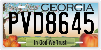 GA license plate PVD8645
