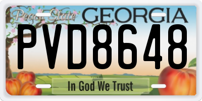 GA license plate PVD8648