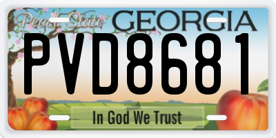 GA license plate PVD8681