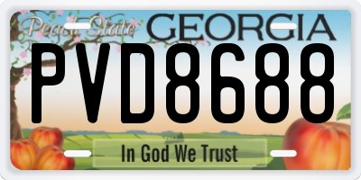GA license plate PVD8688