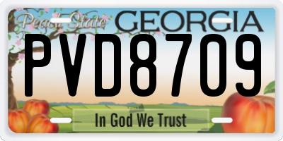 GA license plate PVD8709