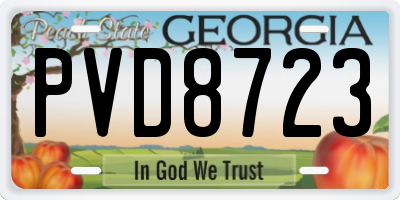 GA license plate PVD8723