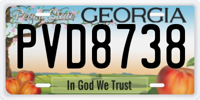 GA license plate PVD8738