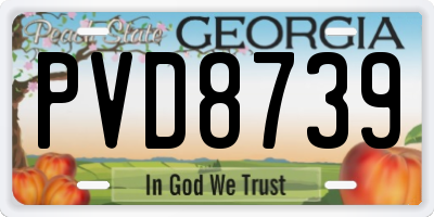 GA license plate PVD8739