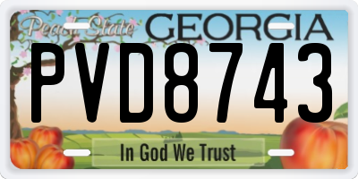 GA license plate PVD8743