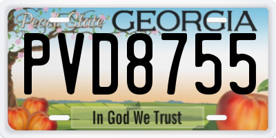GA license plate PVD8755