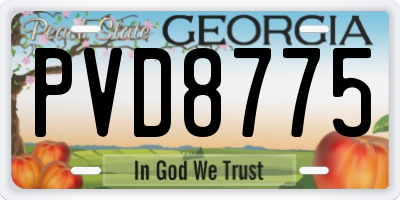 GA license plate PVD8775