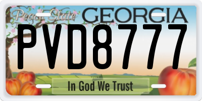 GA license plate PVD8777