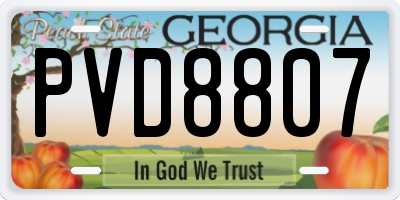GA license plate PVD8807
