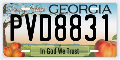 GA license plate PVD8831