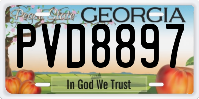 GA license plate PVD8897