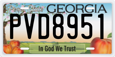 GA license plate PVD8951