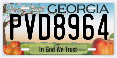 GA license plate PVD8964