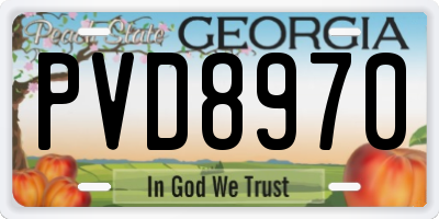 GA license plate PVD8970