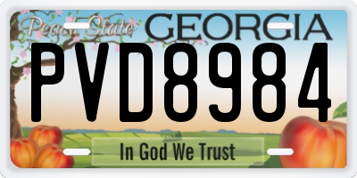 GA license plate PVD8984
