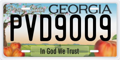 GA license plate PVD9009