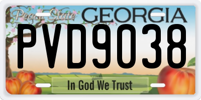 GA license plate PVD9038