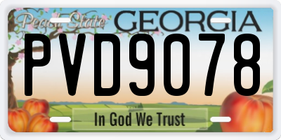 GA license plate PVD9078