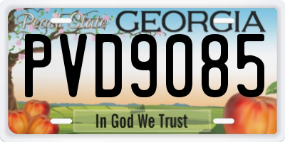 GA license plate PVD9085