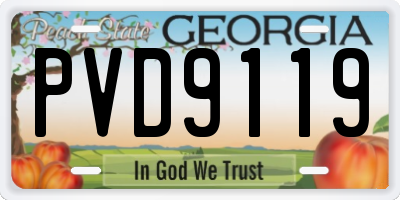 GA license plate PVD9119