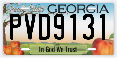 GA license plate PVD9131