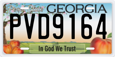 GA license plate PVD9164