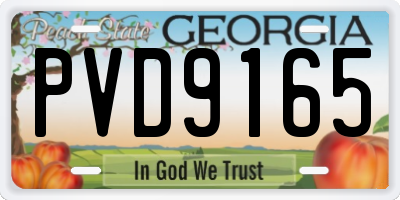 GA license plate PVD9165