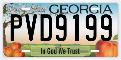 GA license plate PVD9199