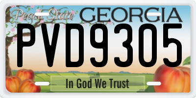 GA license plate PVD9305