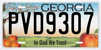 GA license plate PVD9307