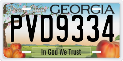 GA license plate PVD9334
