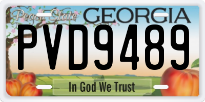 GA license plate PVD9489