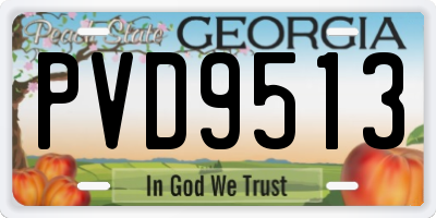 GA license plate PVD9513