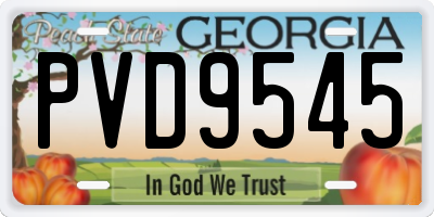 GA license plate PVD9545
