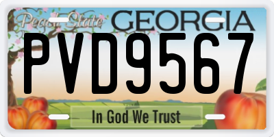 GA license plate PVD9567