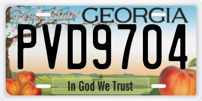 GA license plate PVD9704
