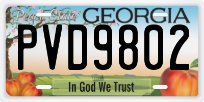 GA license plate PVD9802