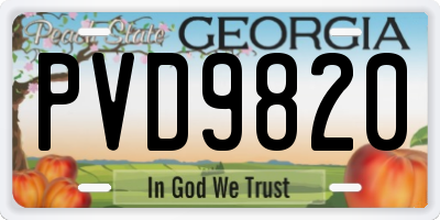 GA license plate PVD9820