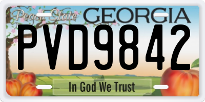 GA license plate PVD9842