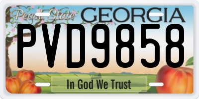 GA license plate PVD9858