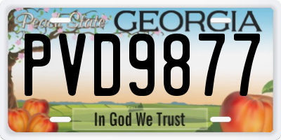 GA license plate PVD9877