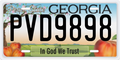 GA license plate PVD9898