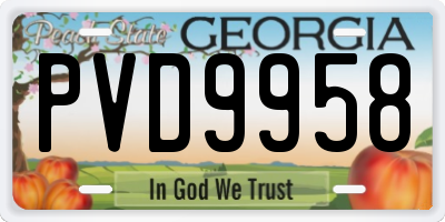GA license plate PVD9958