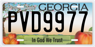 GA license plate PVD9977
