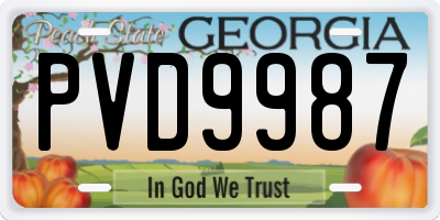 GA license plate PVD9987