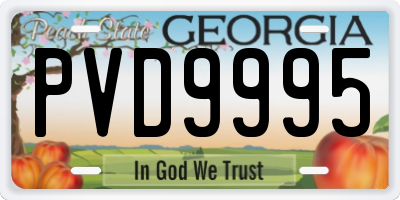 GA license plate PVD9995