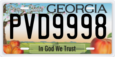 GA license plate PVD9998