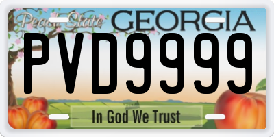 GA license plate PVD9999