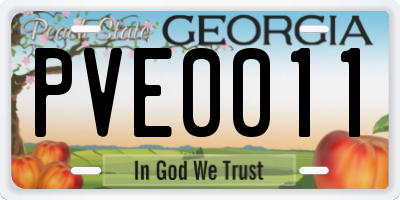 GA license plate PVE0011